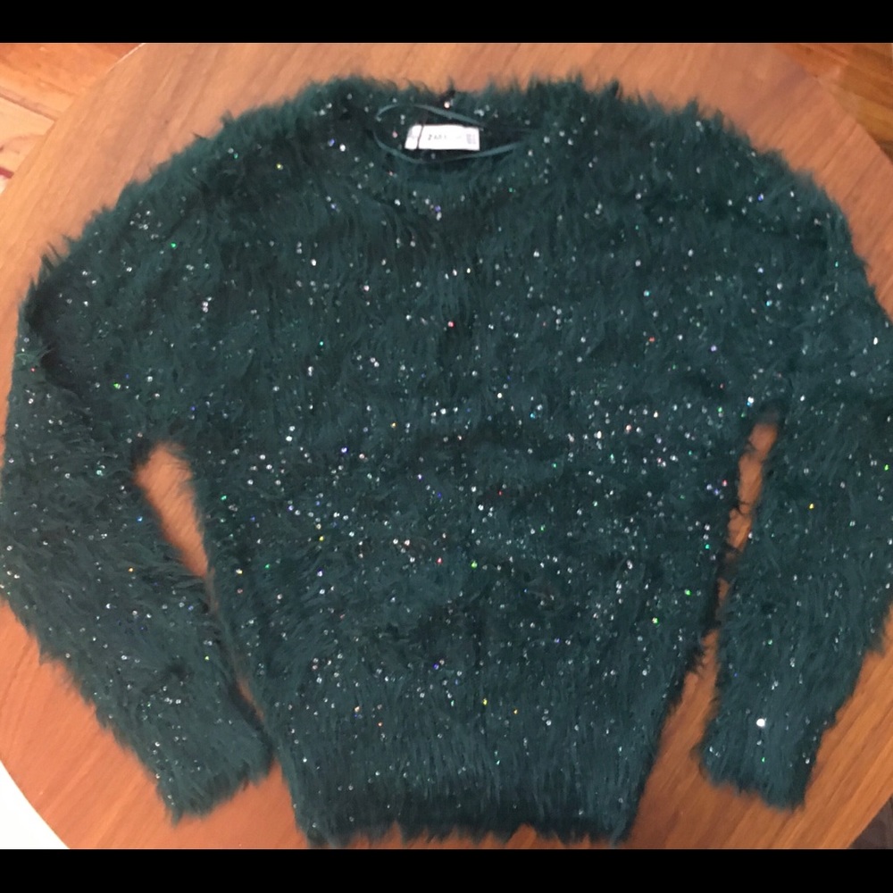 Zara fuzzy green sweater with sequins. NWT